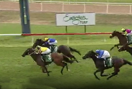 Cape Byron 8 11 2025 Hawkesbury