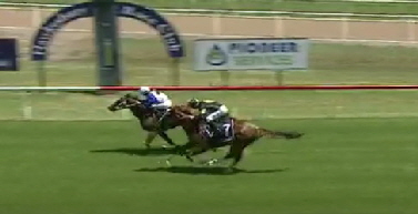 Infant Warrior Hawkesbury 19 02 26